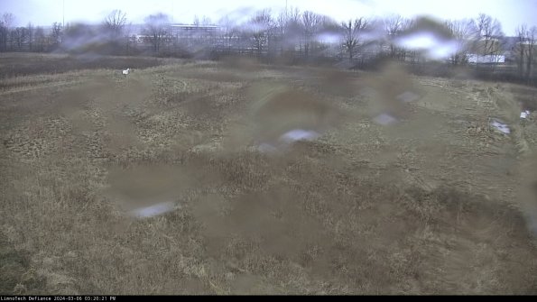 Cell 3_24-03-06_15-20-22-13