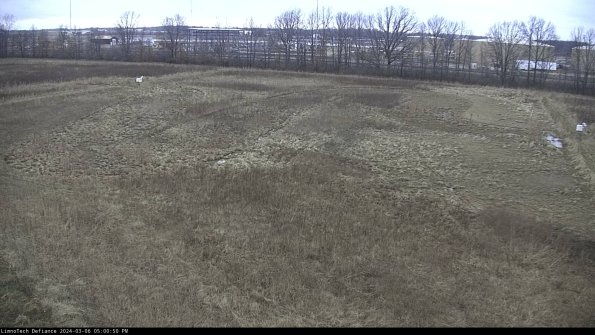 Cell 3_24-03-06_17-00-51-15