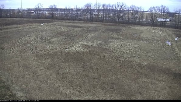 Cell 3_24-03-06_17-34-21-13