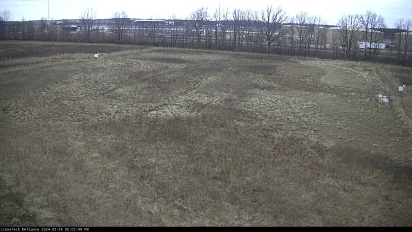 Cell 3_24-03-06_18-07-50-35