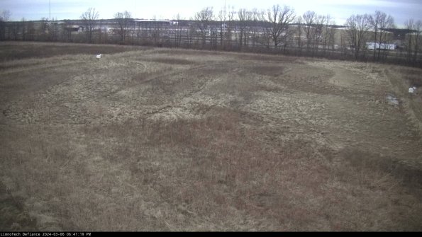 Cell 3_24-03-06_18-41-20-13