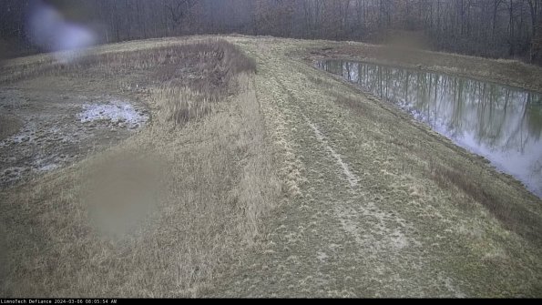 Cell 4 to Basin_24-03-06_08-05-55-12