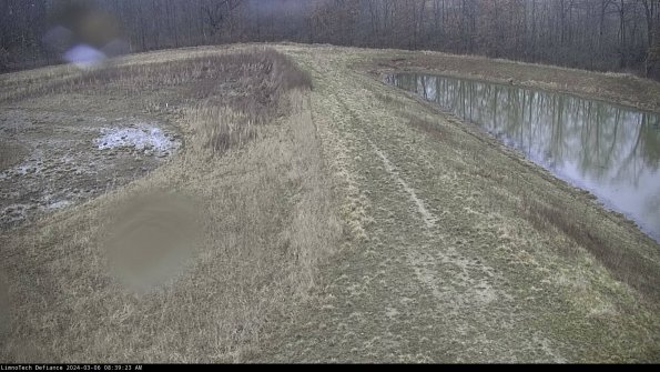 Cell 4 to Basin_24-03-06_08-39-24-17