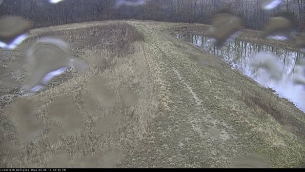 Cell 4 to Basin_24-03-06_12-33-51-14