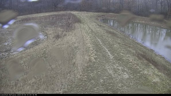 Cell 4 to Basin_24-03-06_13-07-19-16