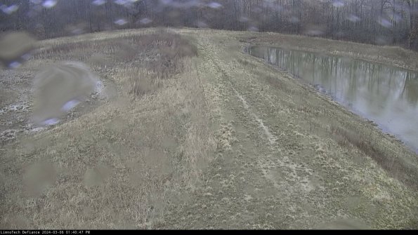 Cell 4 to Basin_24-03-06_13-40-48-14