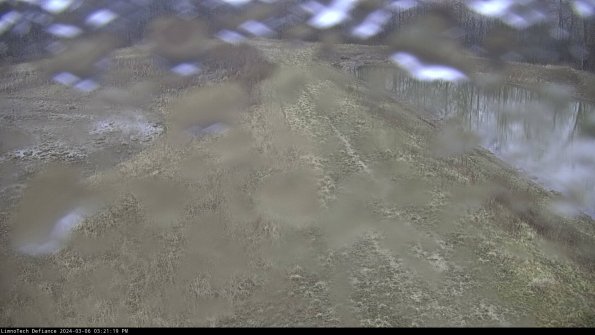 Cell 4 to Basin_24-03-06_15-21-20-13