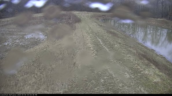 Cell 4 to Basin_24-03-06_15-54-49-17