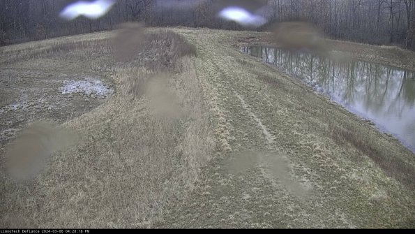 Cell 4 to Basin_24-03-06_16-28-19-16