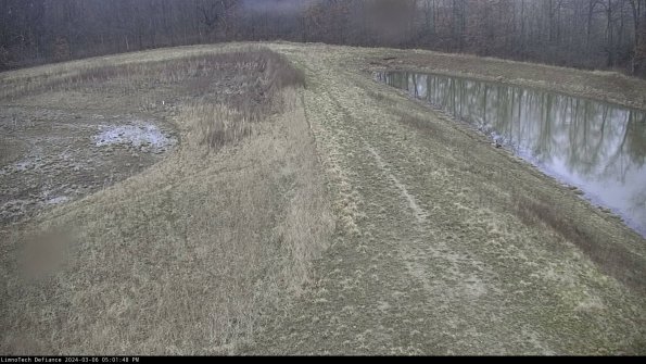 Cell 4 to Basin_24-03-06_17-01-49-14