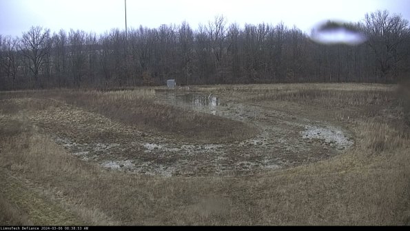 Cell 4_24-03-06_08-38-54-14