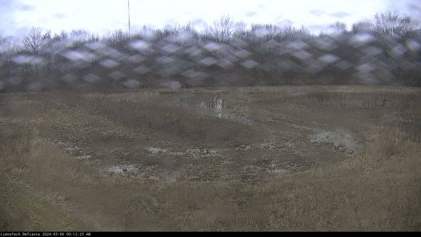 Cell 4_24-03-06_09-12-24-16