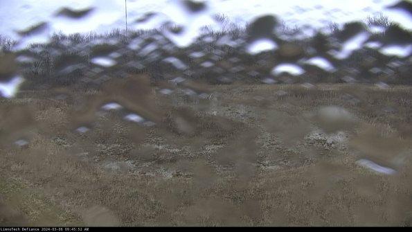 Cell 4_24-03-06_09-45-53-14