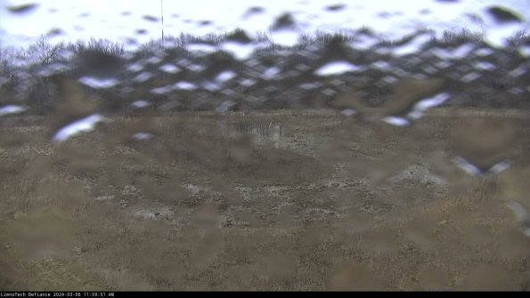 Cell 4_24-03-06_11-59-52-13