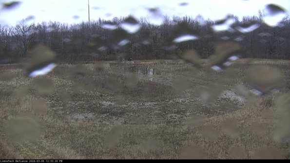 Cell 4_24-03-06_12-33-21-15