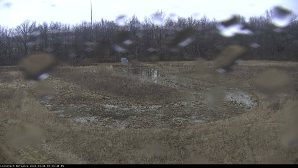 Cell 4_24-03-06_13-06-49-16