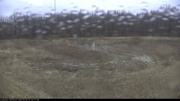 Cell 4_24-03-06_13-40-18-15