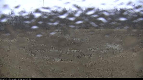 Cell 4_24-03-06_14-13-49-13