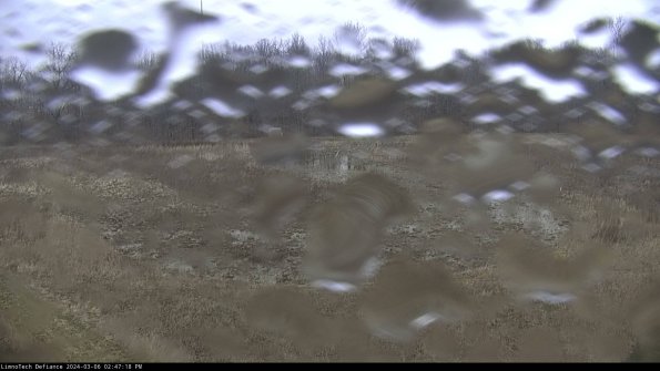 Cell 4_24-03-06_14-47-19-15