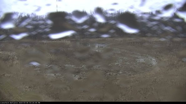 Cell 4_24-03-06_15-20-50-13