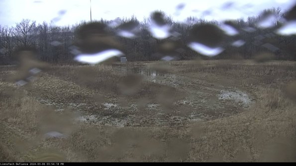 Cell 4_24-03-06_15-54-19-14