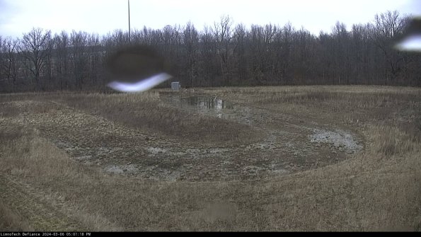 Cell 4_24-03-06_17-01-19-14