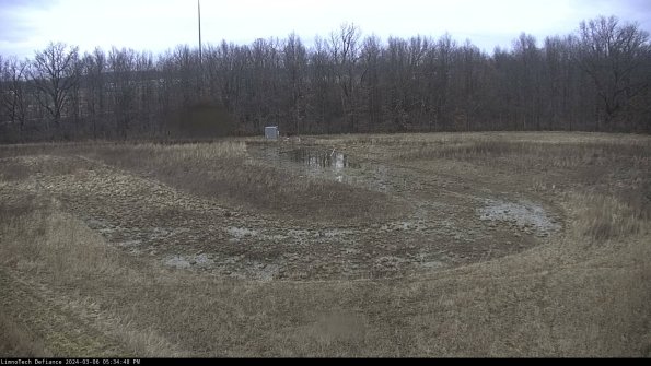 Cell 4_24-03-06_17-34-49-16