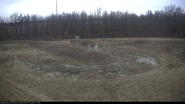 Cell 4_24-03-06_18-08-18-14