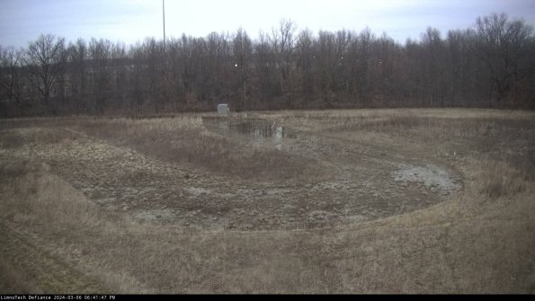 Cell 4_24-03-06_18-41-48-12