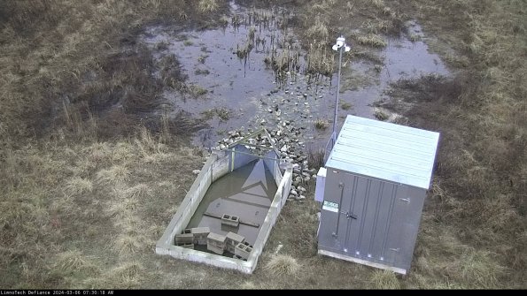 Flume_24-03-06_07-30-19-15