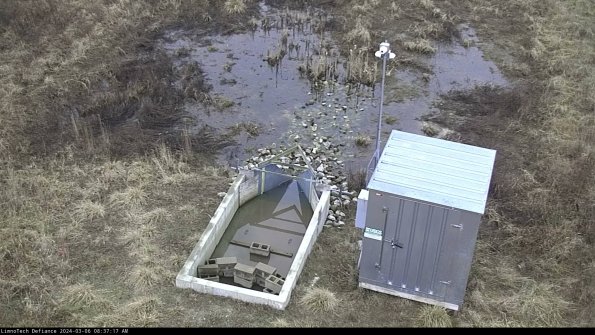 Flume_24-03-06_08-37-18-15