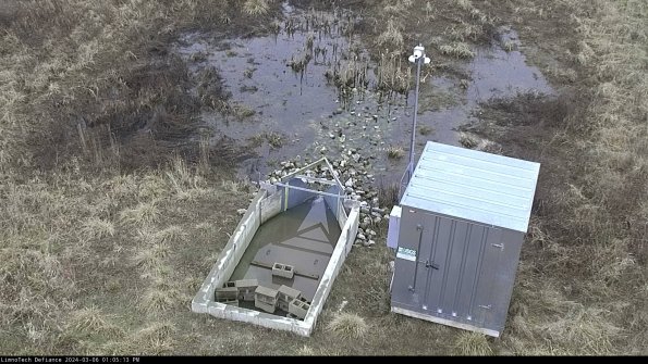 Flume_24-03-06_13-05-14-14