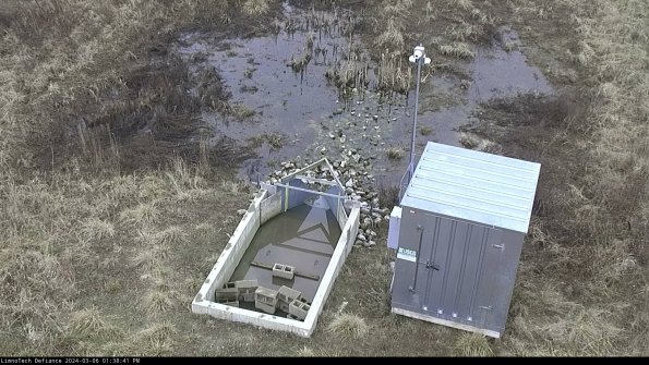 Flume_24-03-06_13-38-42-15