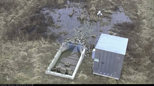 Flume_24-03-06_14-12-13-13