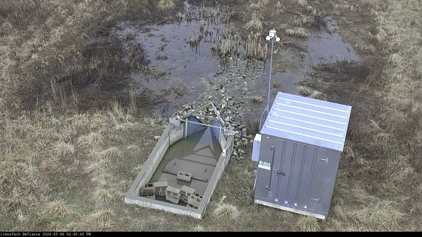 Flume_24-03-06_14-45-43-12