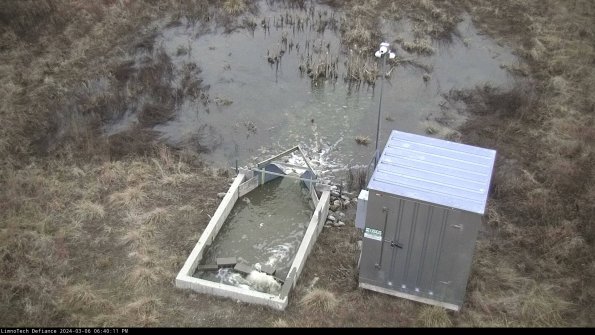 Flume_24-03-06_18-40-12-13