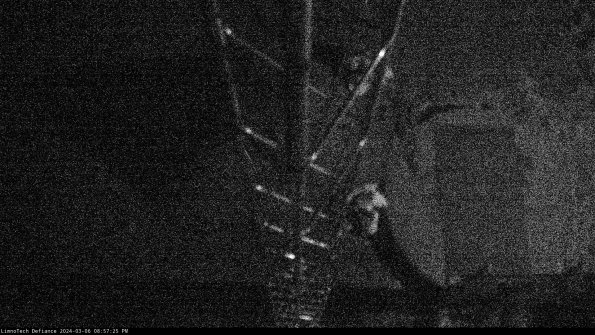 Hatch_24-03-06_20-57-26-15