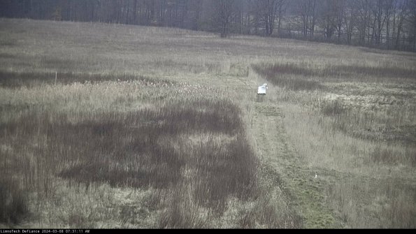 Cell 1 to 2_24-03-08_07-31-12-11