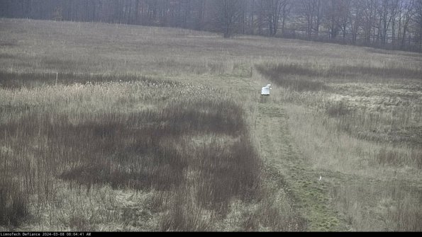 Cell 1 to 2_24-03-08_08-04-42-12