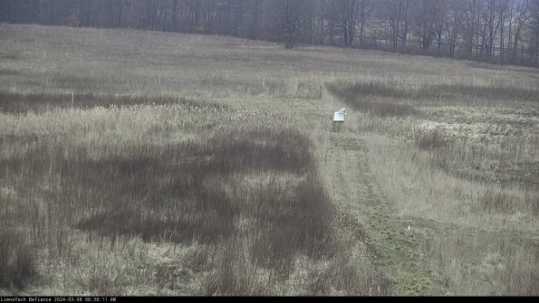 Cell 1 to 2_24-03-08_08-38-12-14