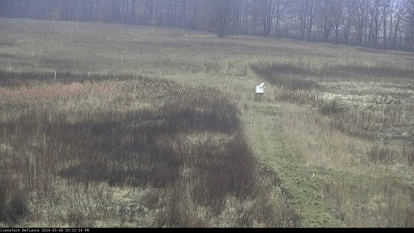 Cell 1 to 2_24-03-08_15-53-35-12