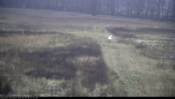 Cell 1 to 2_24-03-08_18-41-02-14