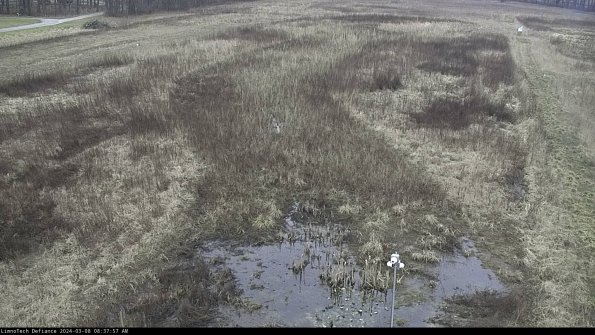 Cell 1_24-03-08_08-37-58-13