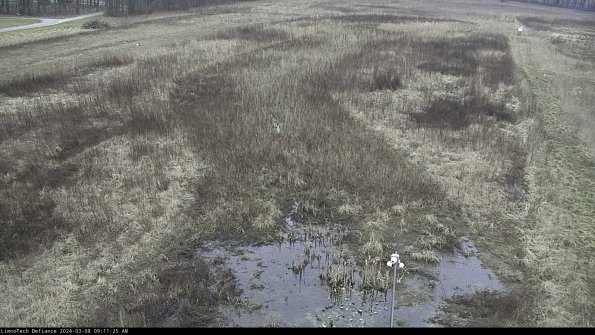 Cell 1_24-03-08_09-11-26-14