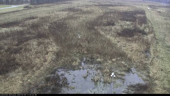 Cell 1_24-03-08_11-25-25-14