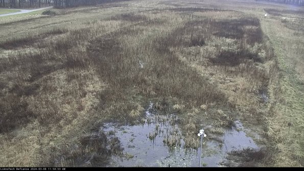 Cell 1_24-03-08_11-58-54-12