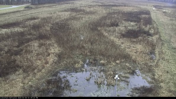 Cell 1_24-03-08_13-39-24-14