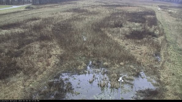 Cell 1_24-03-08_15-19-51-15