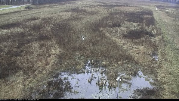 Cell 1_24-03-08_15-53-21-14