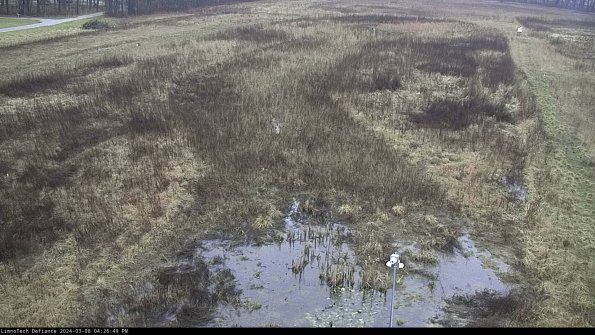 Cell 1_24-03-08_16-26-50-16